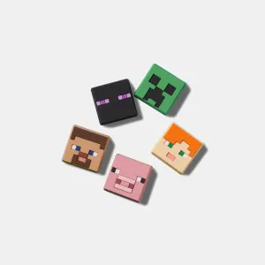 Minecraft 5 Pack